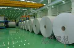 芬林集團年產150萬t紙漿項目正式啟動