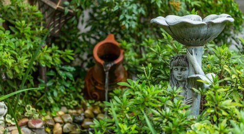 驚艷時光 庭院錦鯉魚池設(shè)計與園林綠化施工全解析